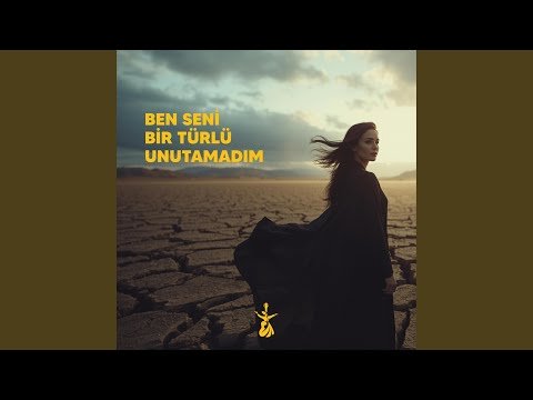 Ben Seni Bir Türlü Unutamadım