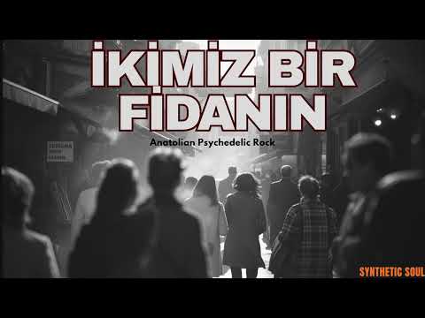 İkimiz Bir Fidanın | Anatolian Psychedelic Rock