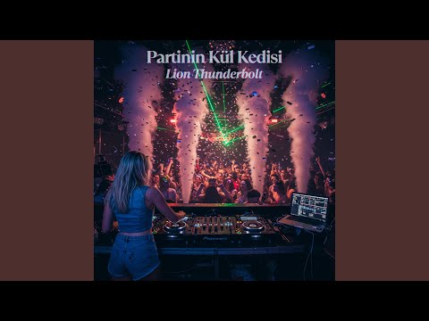 Partinin Kül Kedisi