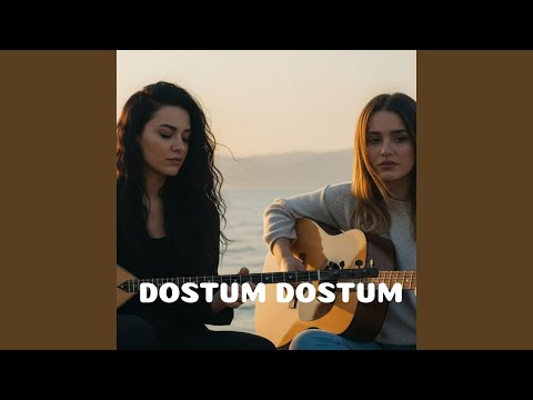 Dostum Dostum