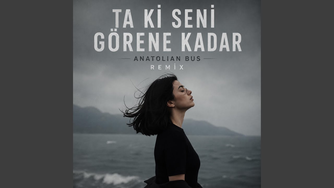anatolian bus