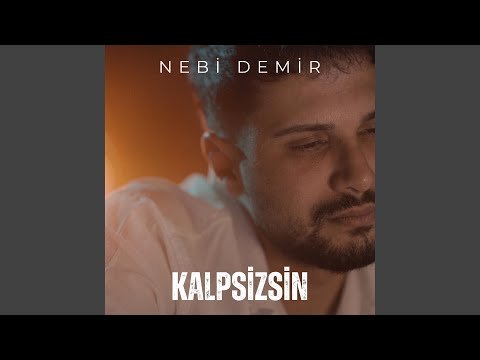 Şarkı kapağı