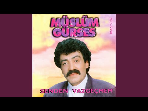 Hangimiz Sevmedik
