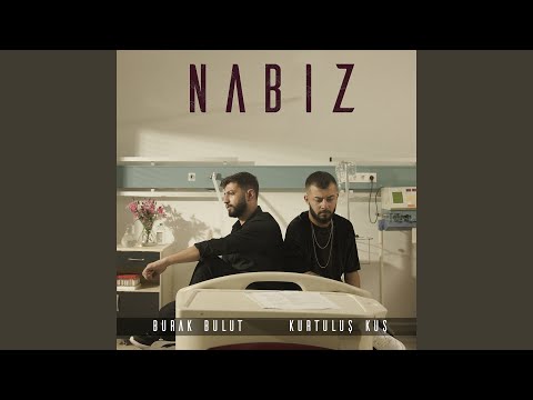 Nabız
