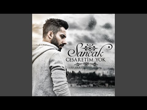 Şarkı kapağı