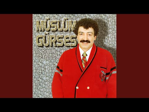 Benim Meselem