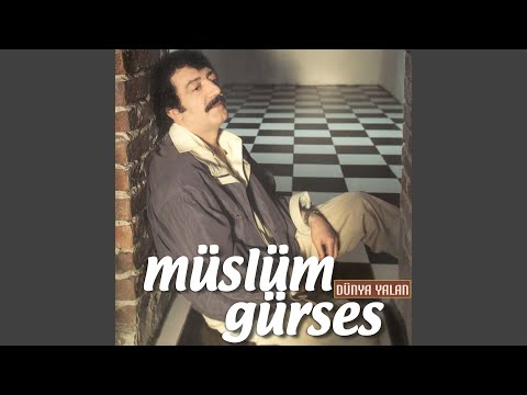 Senin Kadar Hiç Kimseyi Sevmedim