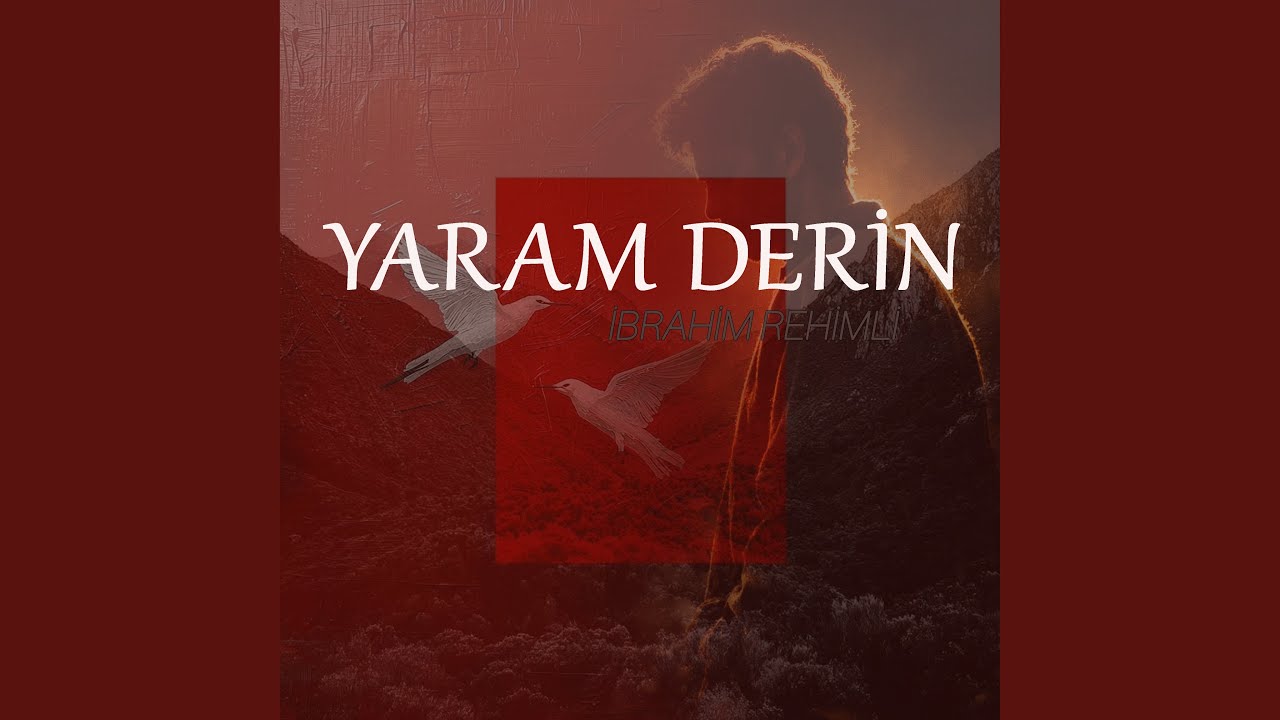 Şarkı kapağı