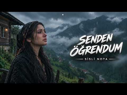 Şarkı kapağı