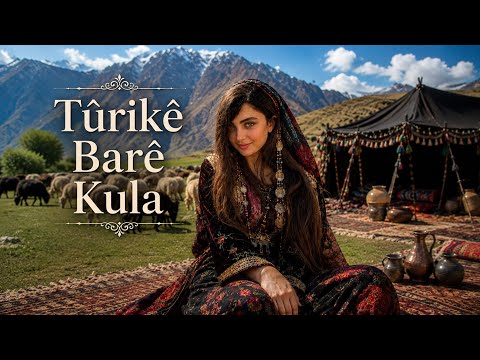 Şarkı kapağı